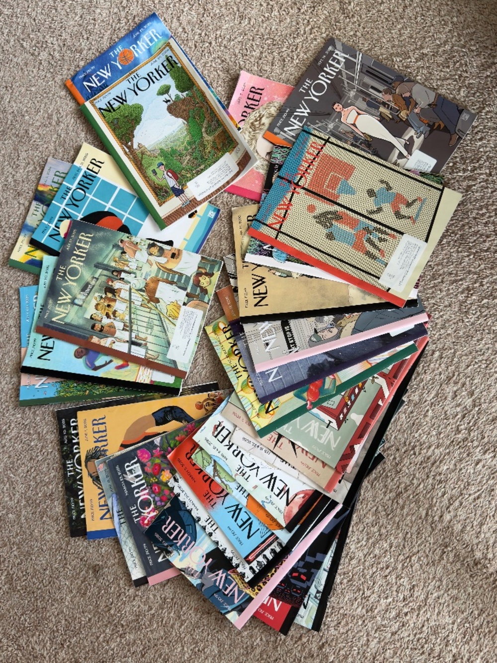 The New Yorker Magazine Collection – 2026 Issues